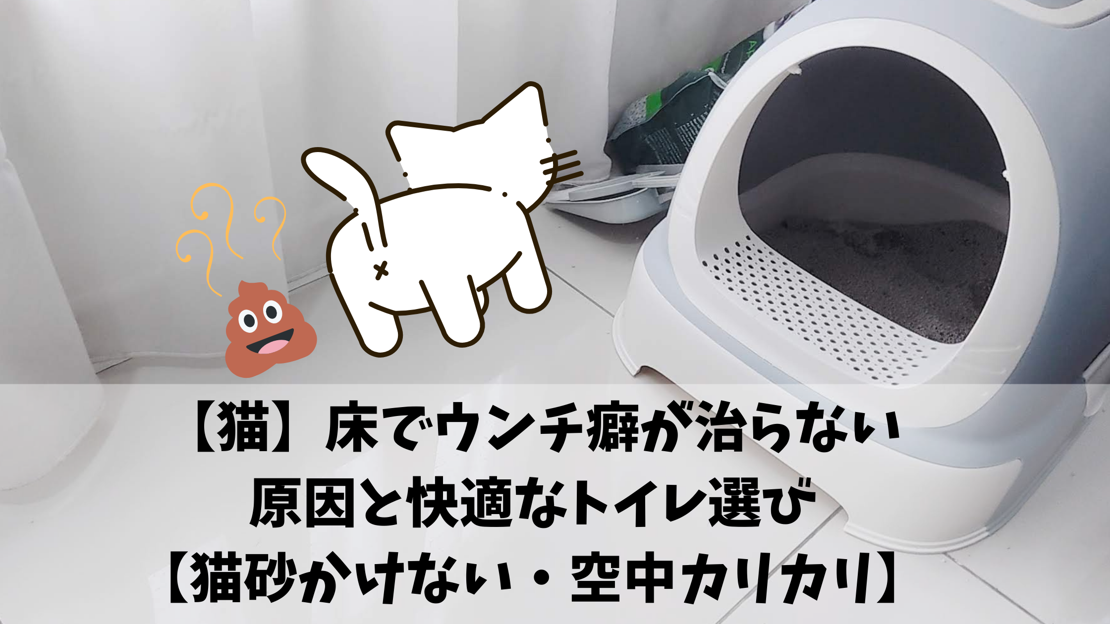 猫 床でウンチ癖が治らない 空中カリカリ 我が家の猫はどうやらトイレに不満があるらしい 猫砂かけない Baby Maybe